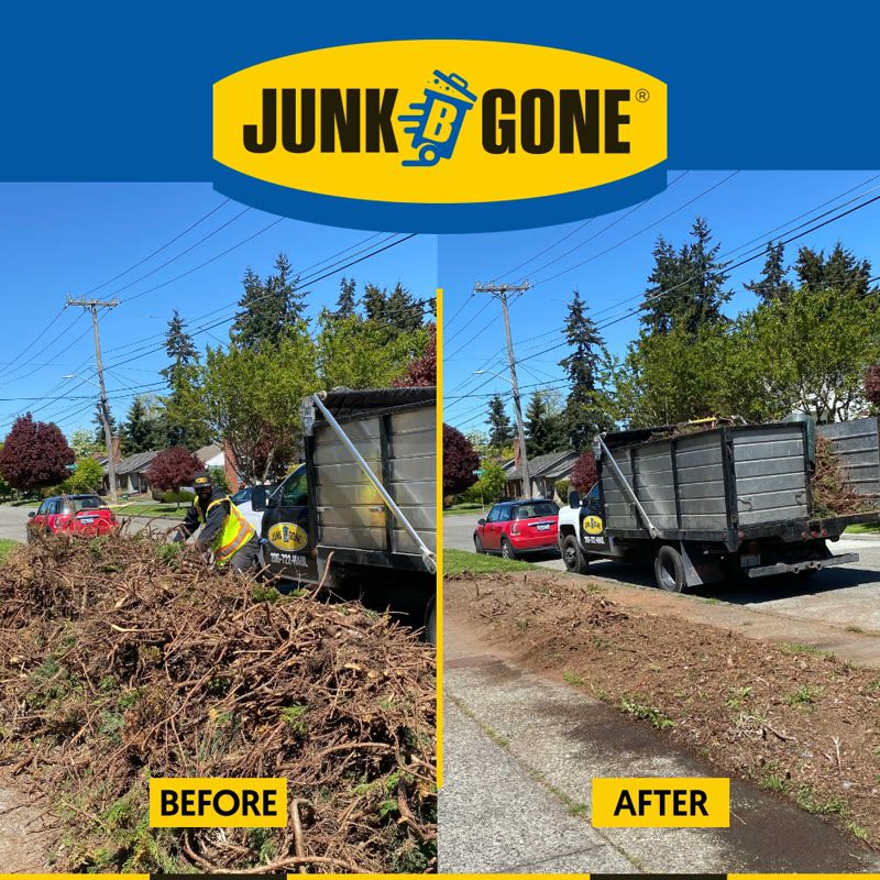 Yard Waste Removal — Branches & Brush Hauled Away